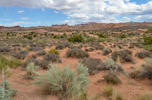 desert and sandstone rocks surrounding Arches scenic drive from Petrified Dunes viewpoint Arches National Park  Moab  Grand County  Utah