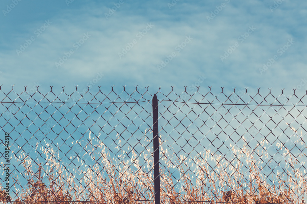 Razor and barbed wire fence