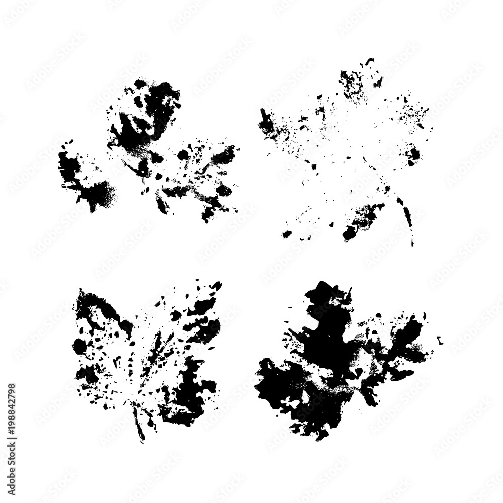Obraz premium Paint black-currant and strawberry leaves imprint for design use. Abstract objects background. Vector art illustration grunge leaf and flower