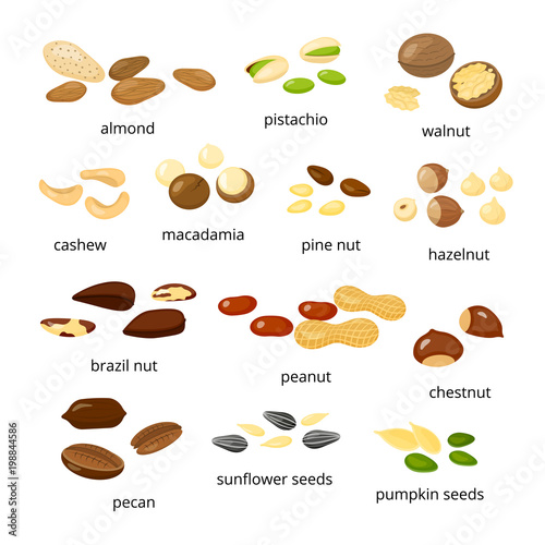 Collection of cartoon nuts.