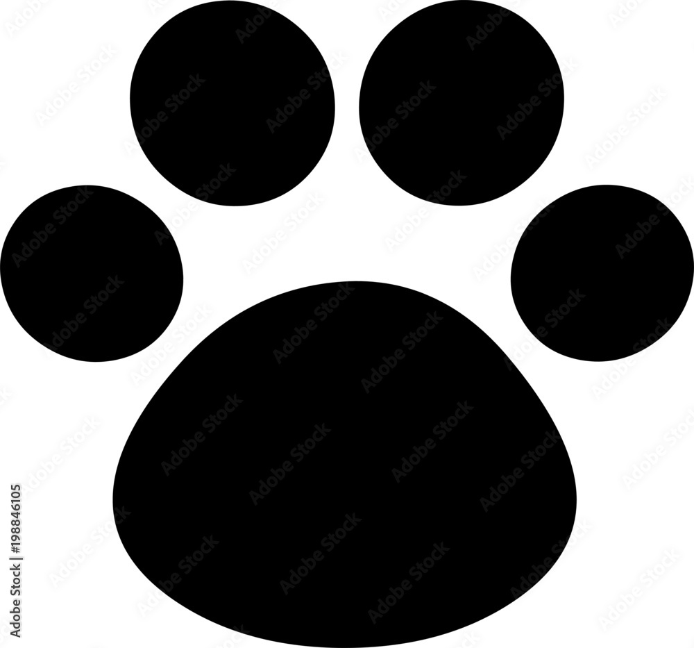 Cat Paw Cat Paw