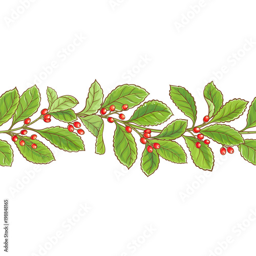 yerba mate vector pattern