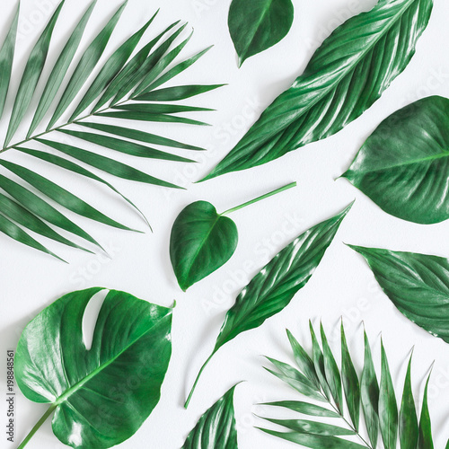 Leaf pattern. Green tropical leaves on gray background. Summer concept. Flat lay, top view, square