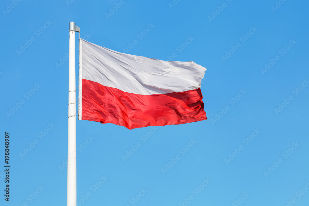 Polish national flag waving on the wind against clear blue sky Polish national flag waving on the wind against clear blue sky