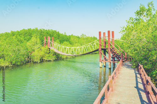Wooden walking bridge in ma...