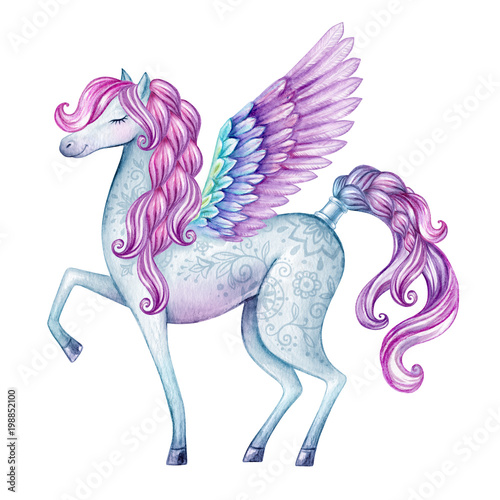 watercolor pegasus illustration, fairy tale creature, flying stallion, magical animal clip art, isolated on white background
