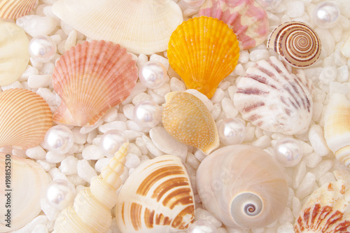 Seashells and pearls on mixed with stones