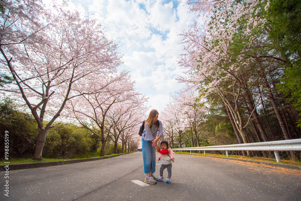 ・桜・抱き上げる・赤ちゃん ・桜・抱き上げる・赤ちゃん