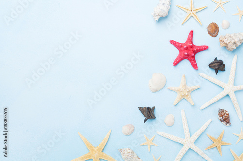 Beautiful composition from seashells and starfish. Summer holidays, travel and trip background. Top view.