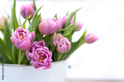 Fototapeta Naklejka Na Ścianę i Meble -  Tender pink tulips for mothers day
