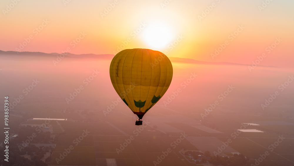 Obraz premium Cruising Napa