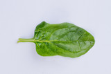 Fresh basil leaf on light background. Close up green organic basil on gray background.