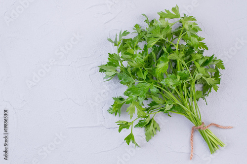 Fresh parsley herb, copy space. Fresh green garden parsley, text space. Recipe ideas with parsley.