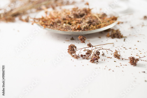 The dried herb oregano on a white table