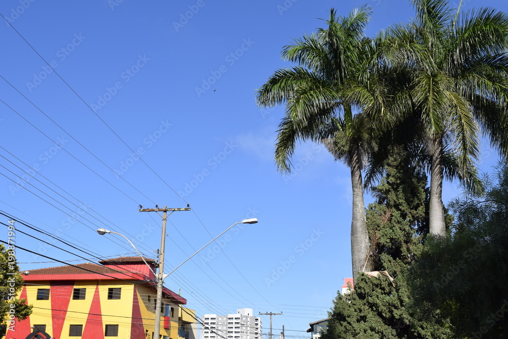 Palmeiras, céu azul e construção vermelho e amarela