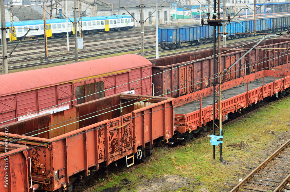 Naklejka premium Wagony towarowe na bocznicy kolejowej. Cargo.