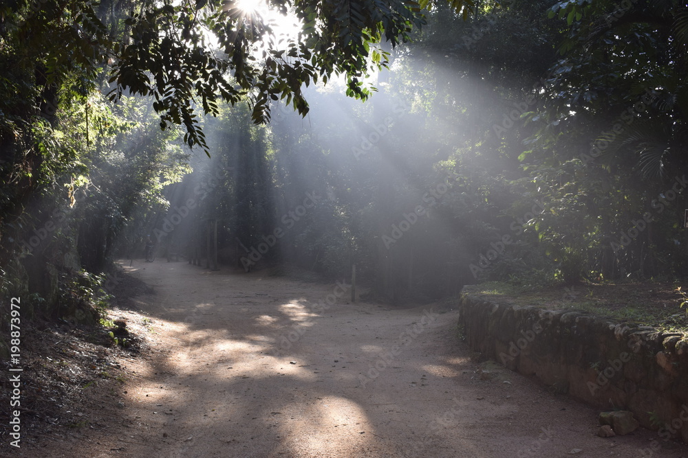 Fototapeta premium Raio de luz oblíquoa do Sol pela manhã