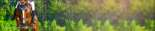 Horizontal photo banner for website header design. Sorrel horse and rider in uniform during showjumping competition. Blur green trees and sun rays as background. Copy space for your text. 