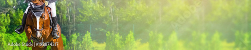 Horizontal photo banner for website header design. Sorrel horse and rider in uniform during showjumping competition. Blur green trees and sun rays as background. Copy space for your text.  © taylon