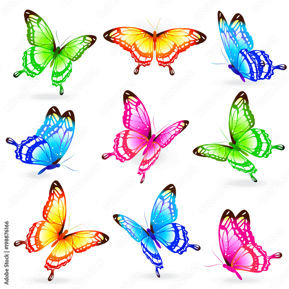 beautiful color butterflies,set, isolated  on a white