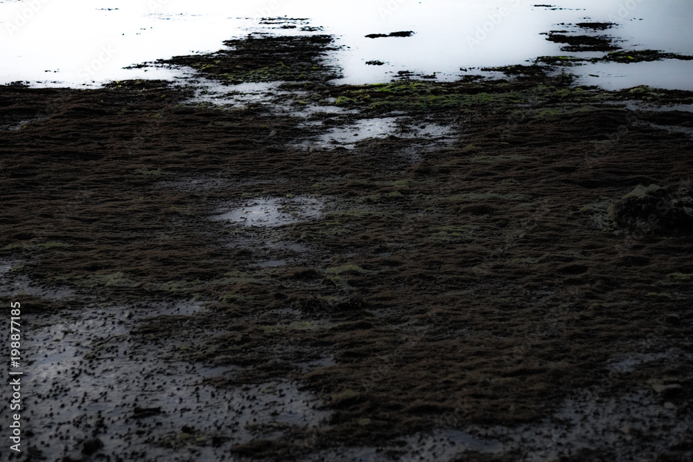 Obraz premium Dirt Grit Texture