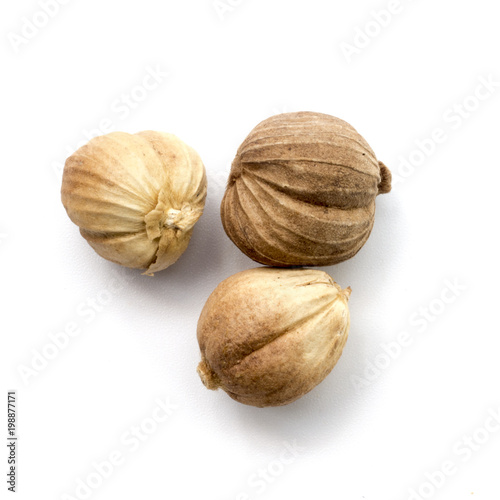 Amomum testaceum dried Herbs isolated on a white background photo