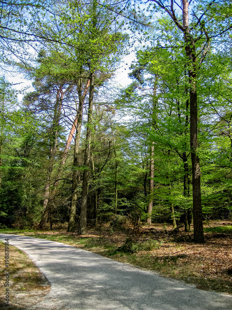 Kroller-Mueller Park and Museum