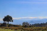 Landscape with snowcovered mountains in the distance near Mycenae Greece on the Peloponnese Peninsula