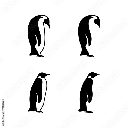 Pinguin logo icon 