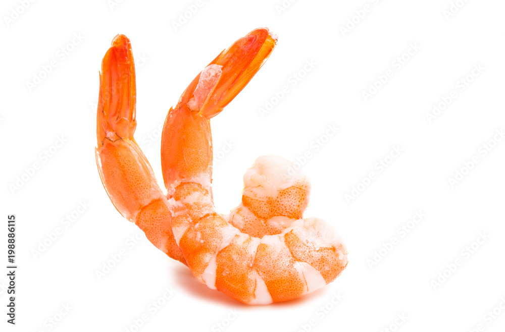 boiled shrimp isolated boiled shrimp isolated
