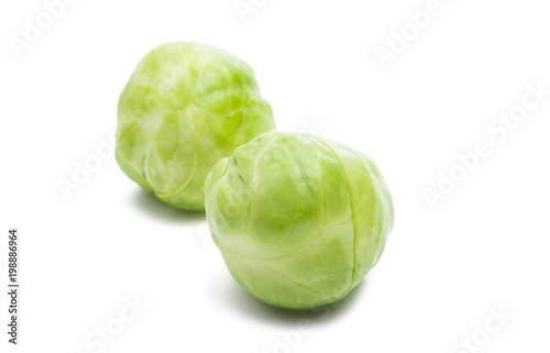 brussels sprouts isolated