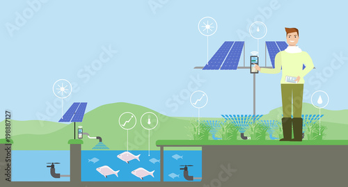 Fototapeta Naklejka Na Ścianę i Meble -  Growing plants on the field. Smart farm with wireless control. Eco farm with aquaponics system and irrigation system. Technology in agricultere. Vector illustration.