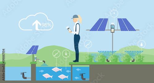 Growing plants on the field. Smart farm with wireless control. Eco farm with aquaponics system and irrigation system. Technology in agricultere. Vector illustration.
