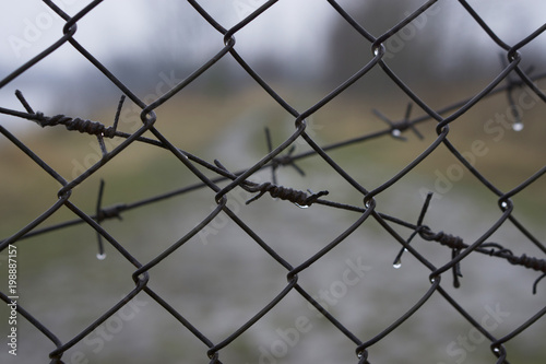 Barbed wire fence over background of blurred way to freedom