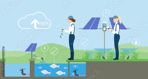 Growing plants on the field. Smart farm with wireless control. Eco farm with aquaponics system and irrigation system. Technology in agricultere. Vector illustration.