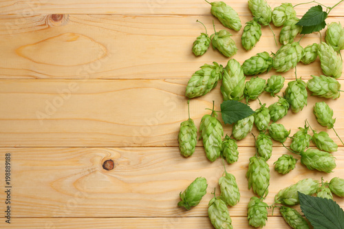 Beer brewing ingredients Hop cones on light wooden table. Beer brewery concept. Beer background. Top view with copy space