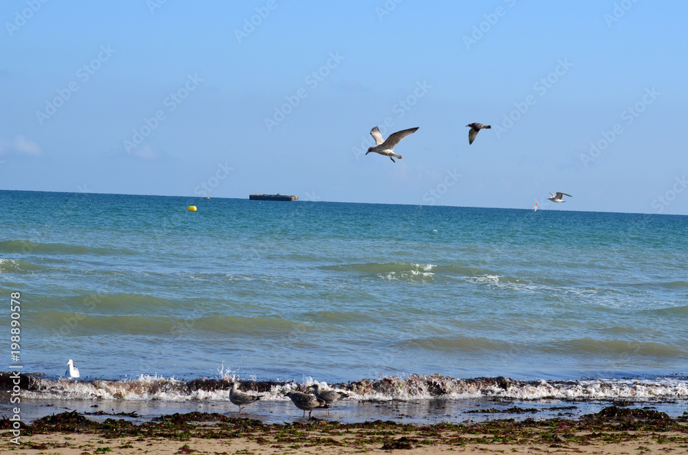 plage d'arromanches les bains plage d'arromanches les bains