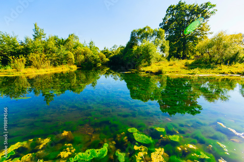 a picturesque corner of nature, a lake with clear water through which the underwater world is visible. trees and bushes on the shore of beautiful trees