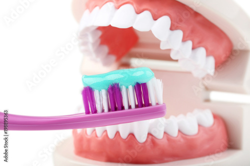 Teeth model with toothbrush and toothpaste