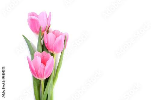 Bouquet of pink tulips isolated on white background © 5second