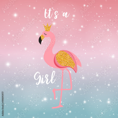 It`s a Girl Flamingo Princess on Night Sky Background. Vector illustration