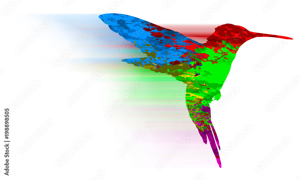 Obraz premium Paint Splatter Animals - Hummingbird