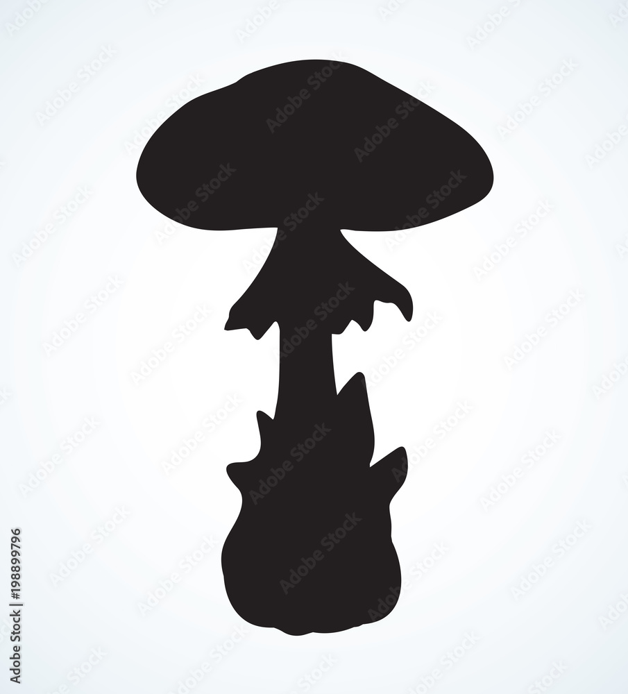Poisonous fungus. Vector drawing