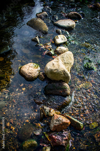 A line of rocks running through a creek