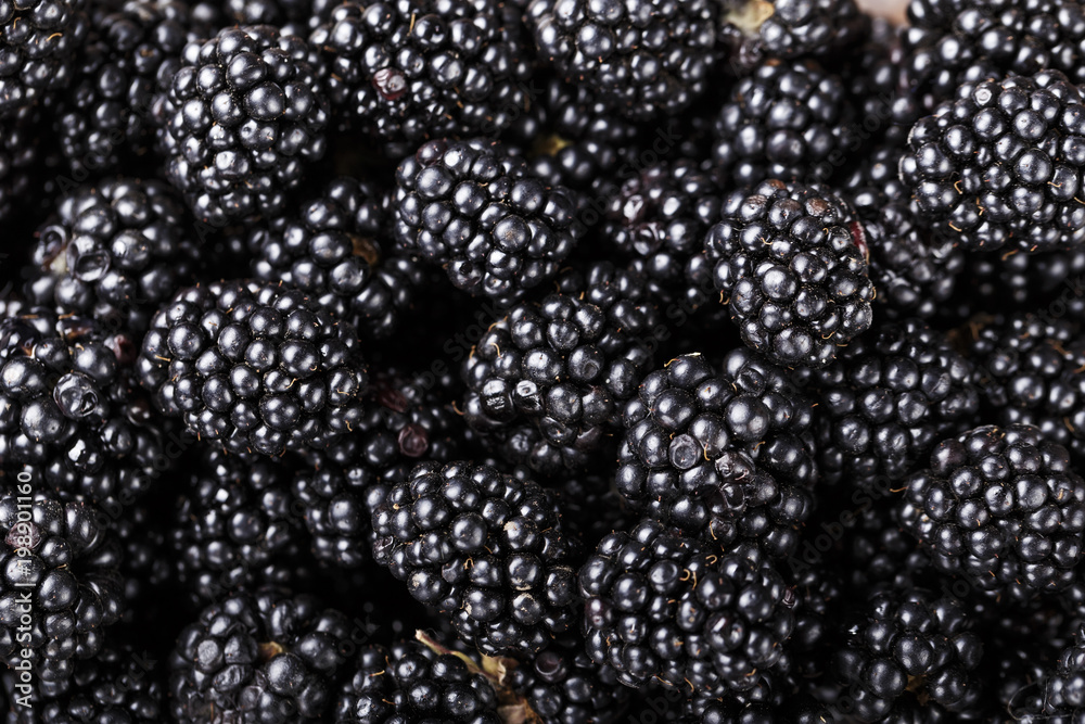 Blackberry close-up background Blackberry close-up background
