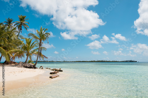 tropical island , beach and palm trees , summer time vacation background