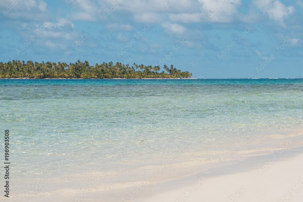 white sand beach and palm trees on island - San Blas white sand beach and palm trees on island - San Blas