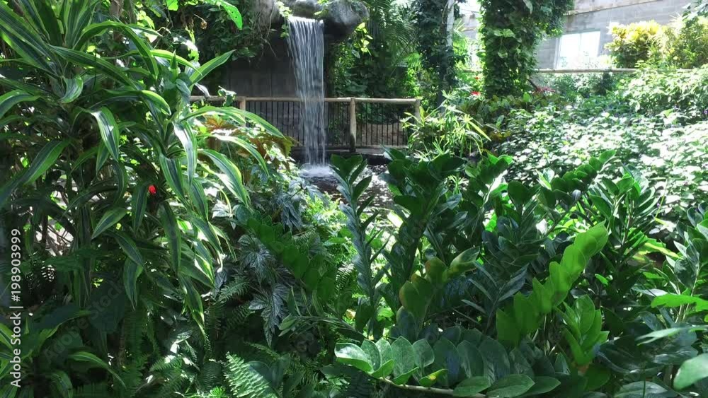 Green plants and a waterfall Green plants and a waterfall