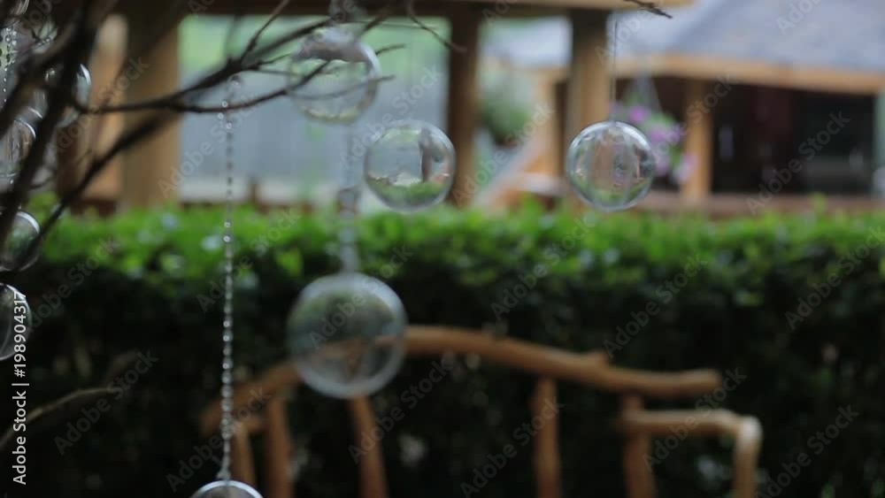 wedding decorations hanging on a tree. White transparent balls on the branches wedding decorations hanging on a tree. White transparent balls on the branches