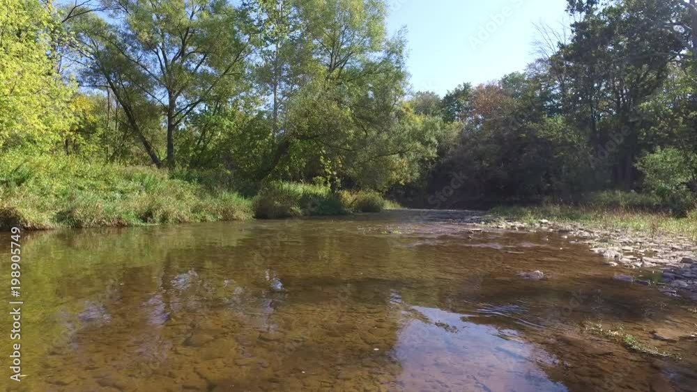 River flowing between trees River flowing between trees